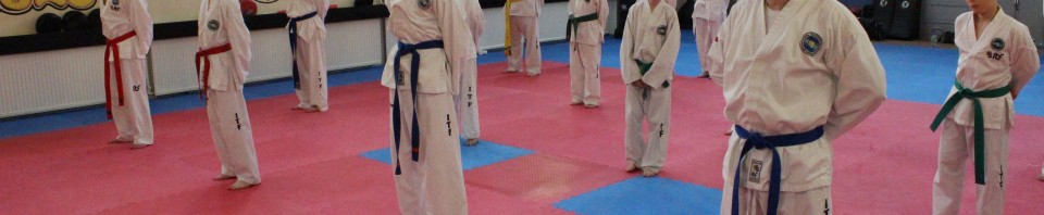 TKD Grading Results – 19th May 2013