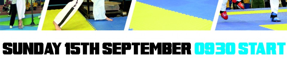 North East Challenge Cup 2013