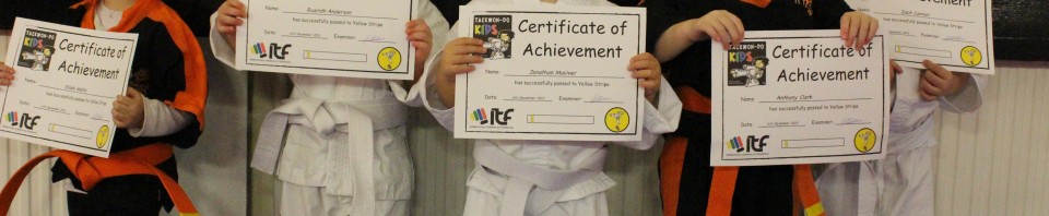 TKD Kids Grading Results