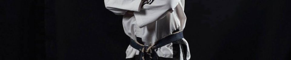 Seminar with Master Jedut 8th Degree – 7th August